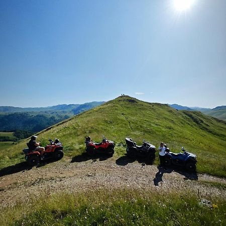 Penzion Mini Garden Mojkovac Exteriér fotografie