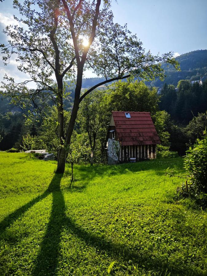 Penzion Mini Garden Mojkovac Exteriér fotografie